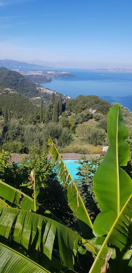 Sunblest Villa Dafnáta Kültér fotó